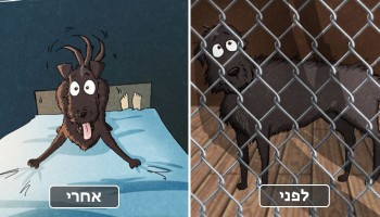 הבחור הזה אימץ כלב ממקלט חיות וצייר את החוויה שלו בסדרת איורים מצחיקה ומרגשת