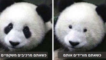 20 סיטואציות מצחיקות שרק מי שמרכיב משקפיים יוכל להזדהות איתן