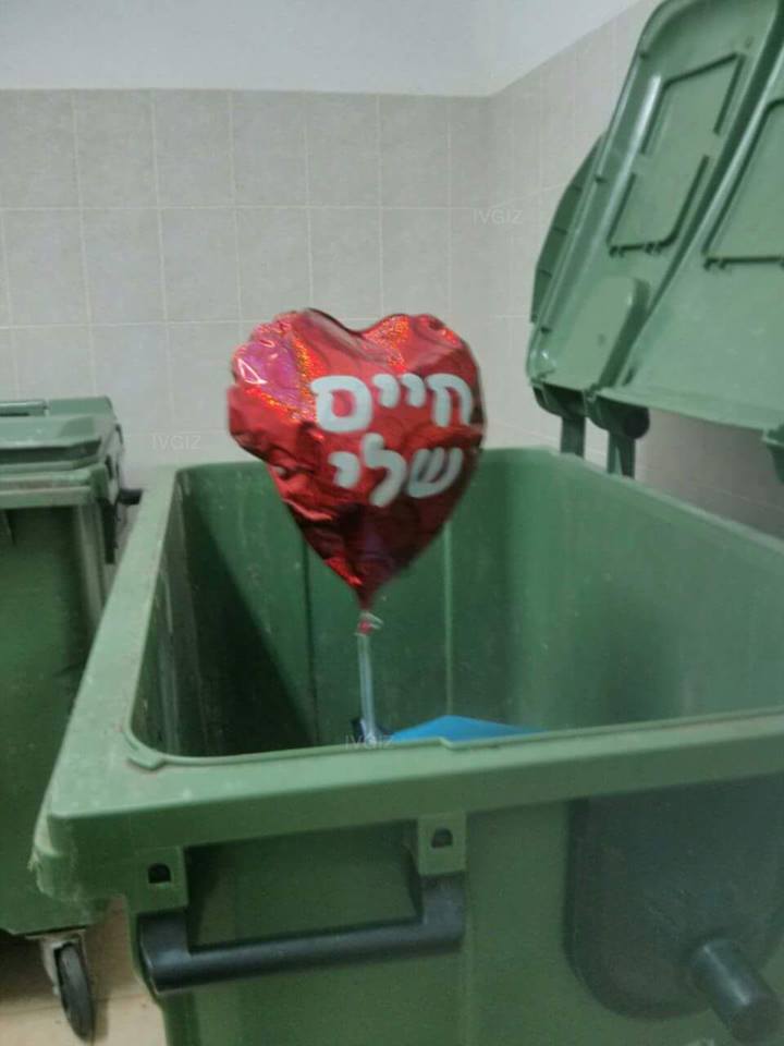 החיים בזבל - בתיה חיון - יבגני זרובינסקי