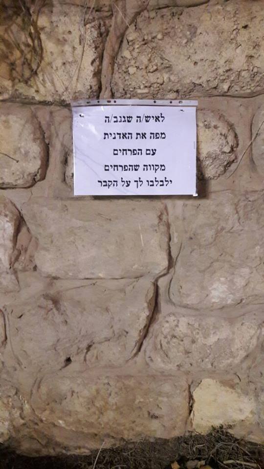 יבגני זרובינסקי - בינתיים בבאר שבע - Dima Parushin