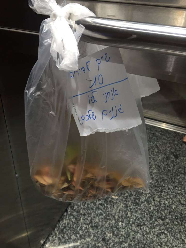 מתנה במעלית - פולניה זה כאן