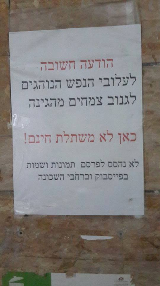 Neri-Cohen-פולניה-זה-כאן