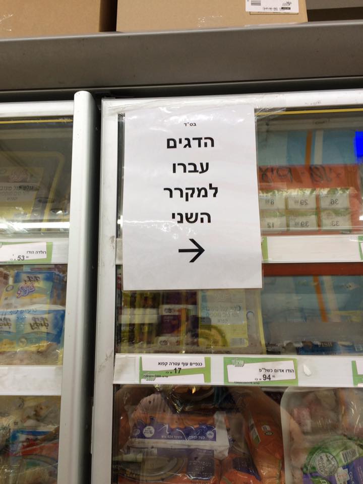 Yael Neishty Neishtut Yermiyahu - עכשיו גרה כאן משפחת כהן, בבקשה לא לצלצל יותר