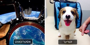 זה מה שרואים 20 עובדים במקצועות שונים מול העיניים שלהם ברגע זה ממש