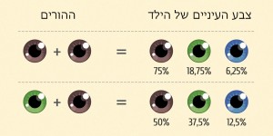 כך עשויים להראות הילדים העתידים שלכם על פי הגנטיקה שלכם בסדרת איורים מגניבה