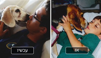 35 תמונות אז ועכשיו של כלבים והבעלים שלהם שגדלו והתבגרו יחד