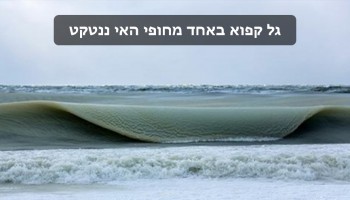 23 תופעות טבע מטורפות שקשה להאמין שהן אמיתיות לגמרי