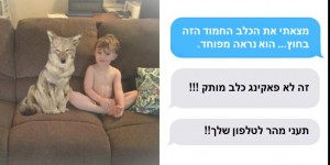 הבחורה הזאת בישרה לבעלה בהודעה שהיא הביאה "כלב" הביתה וזה מה שקרה כשהוא ראה את התמונה המפתיעה