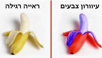 10 תמונות שמדגימות איך אנשים עם עיוורון צבעים רואים את העולם