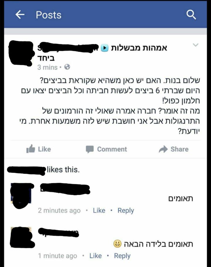אמהות מבשלות