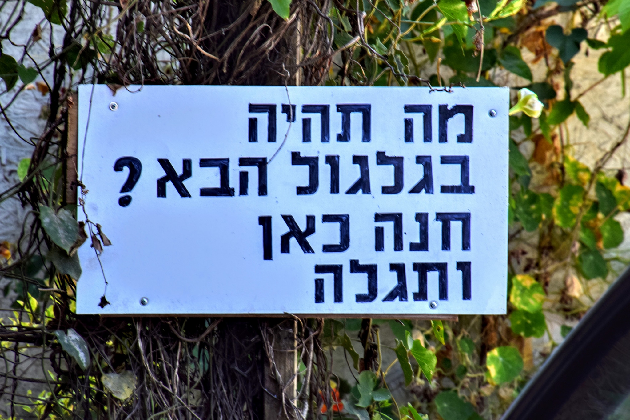 איציק גייר