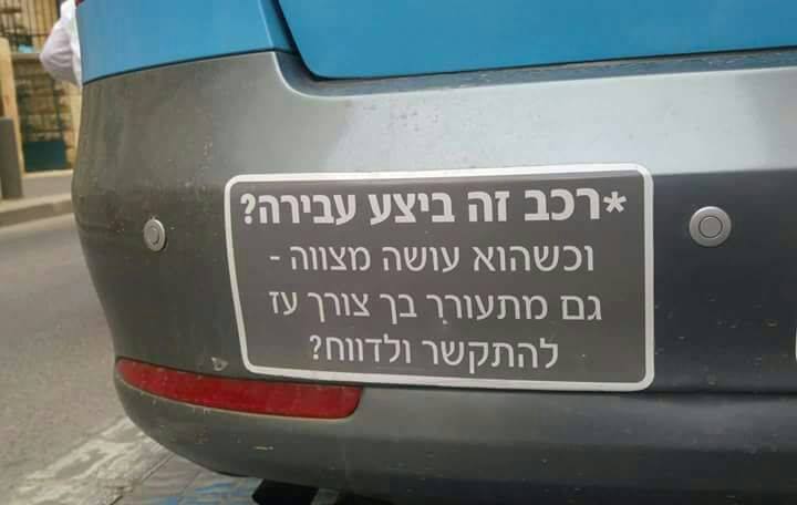 זיו שפירא