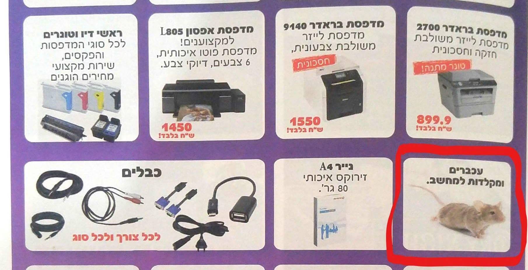 גרפיקאים יסודיים במיוחד Miki Kvt