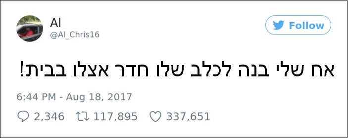 חדר לכלב 5