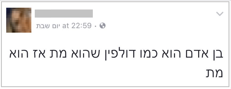 תובנות Niv Keinan