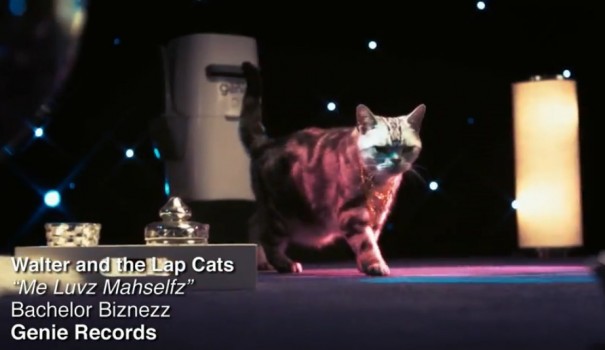 genie walter and the lap cats