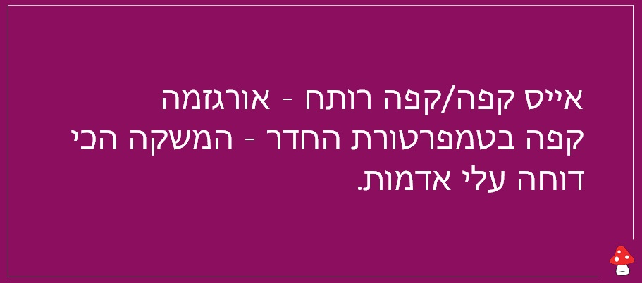 משפטים קצרים על קפה 3