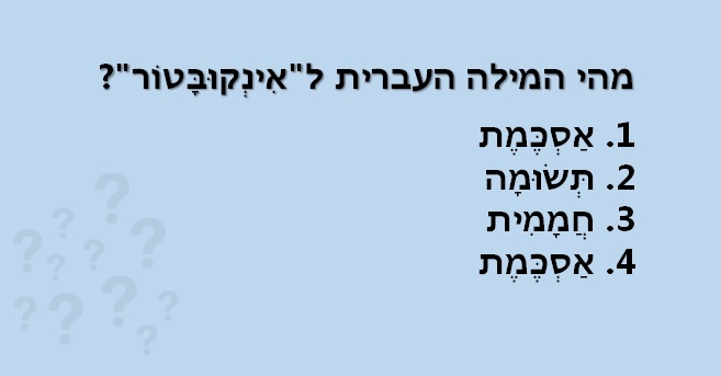 טריוויה