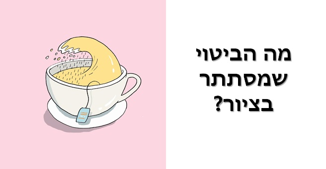 חידות בציורים