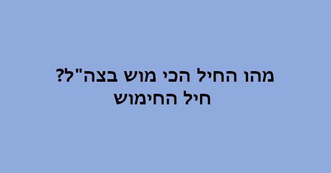 בדיחות קרש מצחיקות