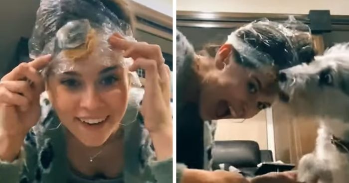 לגזור ציפורניים לכלב