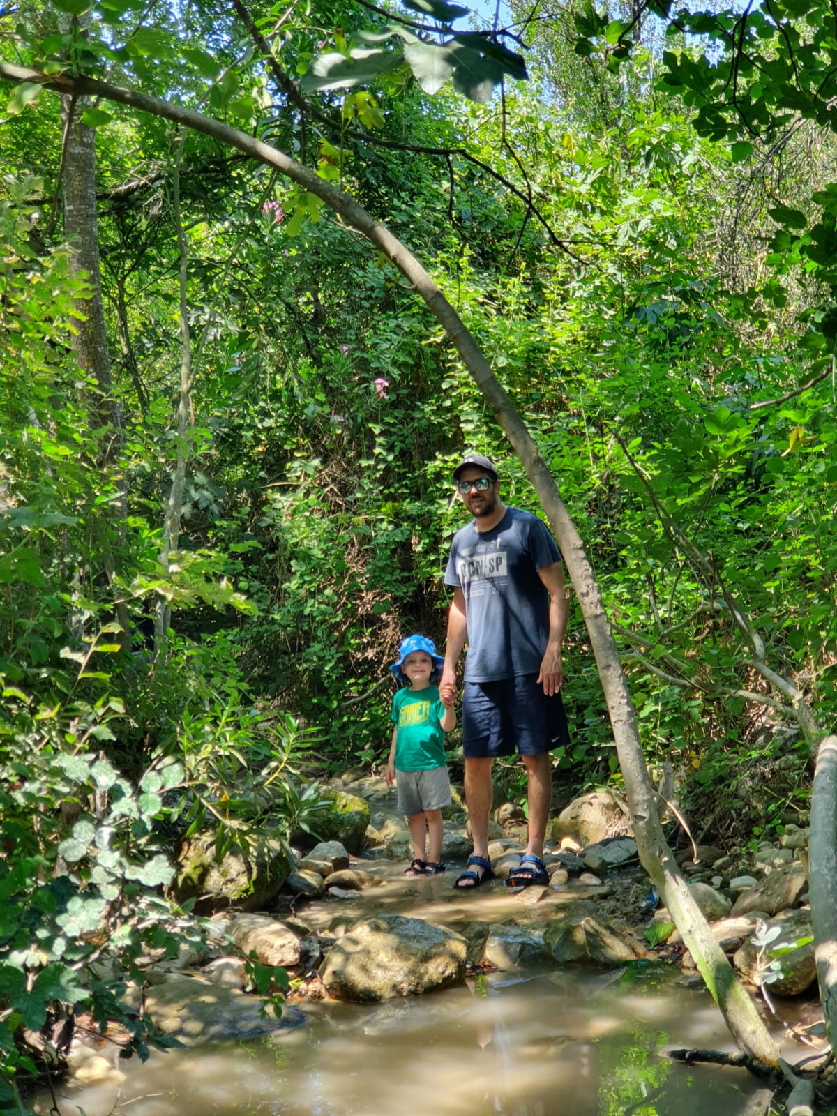 נחל השופט 10