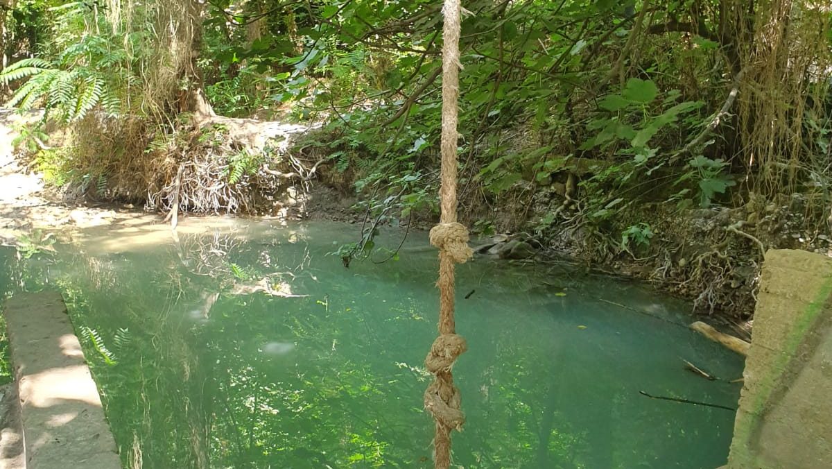 נחל השופט 11