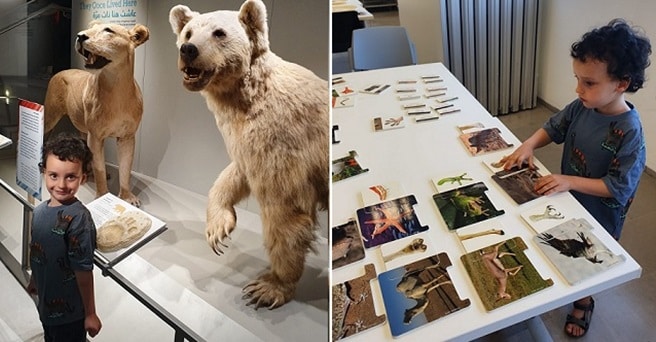 אטרקציות לילדים בתל אביב - תמונה ראשית