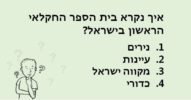 טריוויה 2024