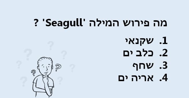 חידון אוצר מילים באנגלית